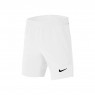 МУЖСКИЕ ТЕННИСНЫЕ ШОРТЫ  Nike Boys 