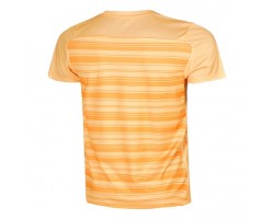 МУЖСКАЯ ТЕННИСНАЯ ФУТБОЛКА NIKE -foto2