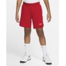Теннисные шорты для мальчиков школьного возраста Nike Court Flex Ace